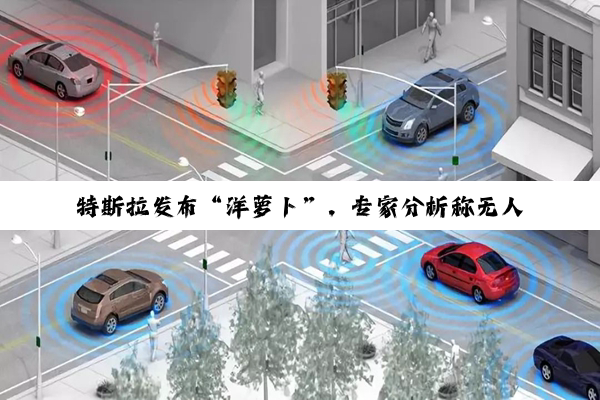 特斯拉发布“洋萝卜”，专家分析称无人驾驶多方面问题待解决